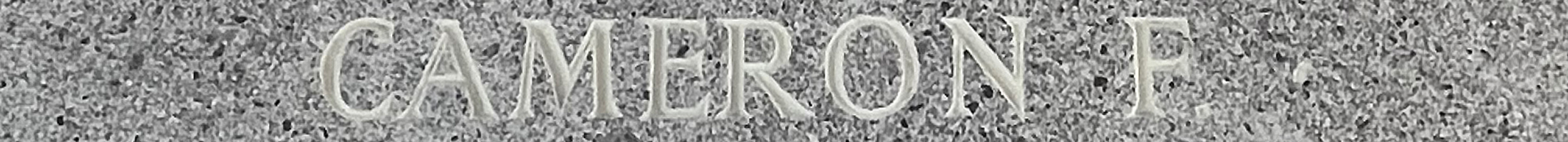 F/O Forbes Cameron<br/><br /><br />missing September 24th, 1944<br /><br /><br />No Known Grave<br /><br /><br />Commemorated: Runnymede Memorial, Surrey, England<br /><br /><br />Panel 205